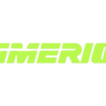 Immerion-logo