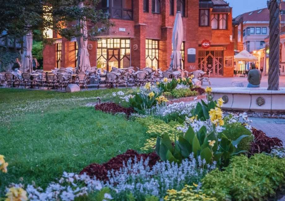 Casino Win Pécs Vélemények és Tapasztalatok – Minden, Amit Tudnod Kell